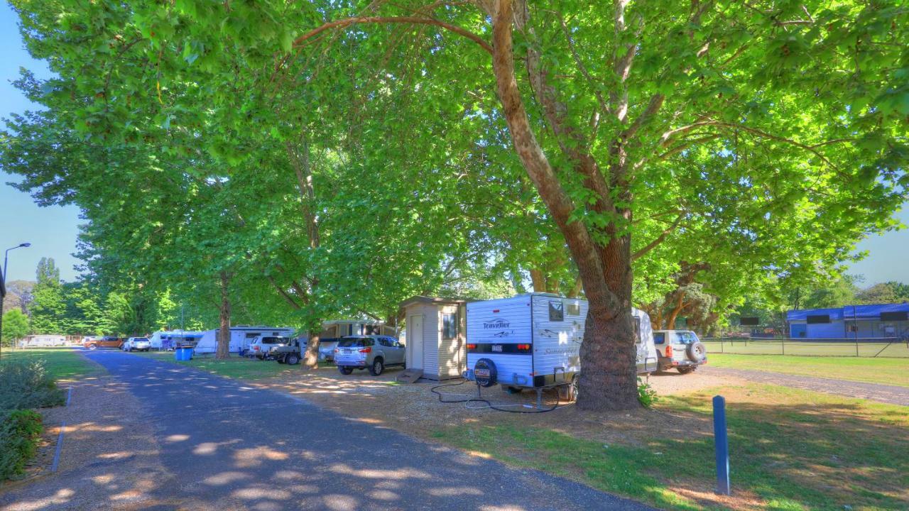 Myrtleford Holiday Park Ngoại thất bức ảnh